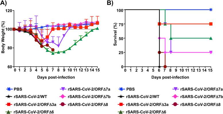 https://cdn.ncbi.nlm.nih.gov/pmc/blobs/b554/8354228/ff4bb7ecd05f/jvi.00402-21-f0005.jpg