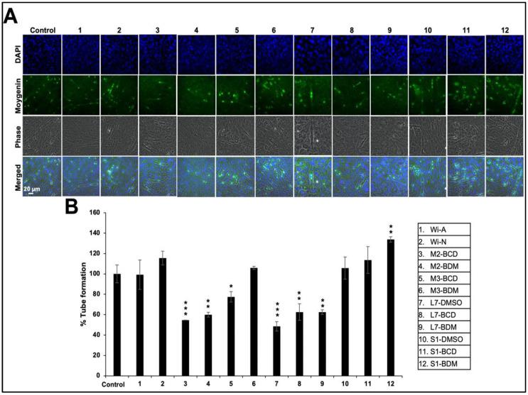 https://cdn.ncbi.nlm.nih.gov/pmc/blobs/b56d/8533065/1dc6f52e4e3a/biomolecules-11-01454-g005.jpg