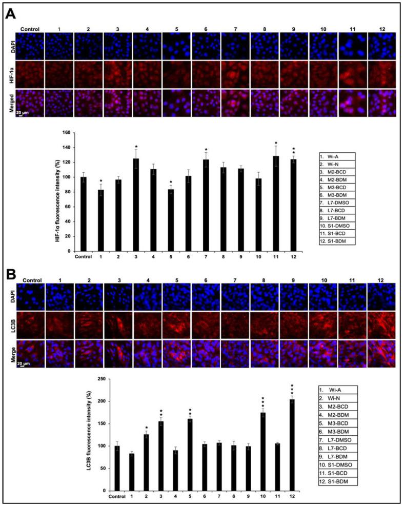 https://cdn.ncbi.nlm.nih.gov/pmc/blobs/b56d/8533065/1fcb435bd3b1/biomolecules-11-01454-g008.jpg
