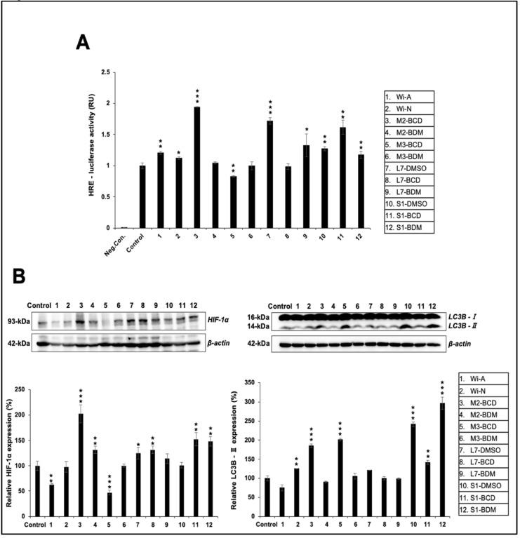 https://cdn.ncbi.nlm.nih.gov/pmc/blobs/b56d/8533065/cec2e82c8b50/biomolecules-11-01454-g007.jpg