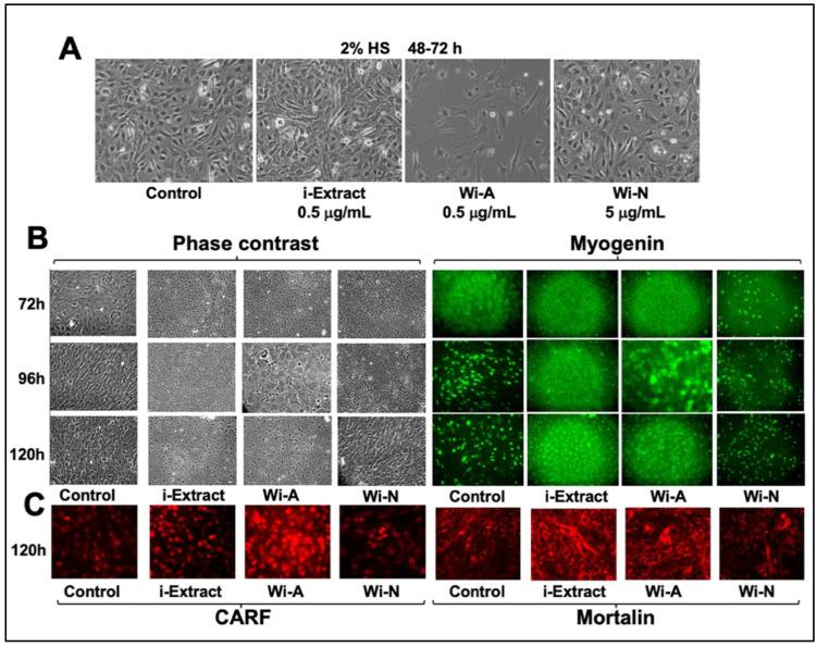 https://cdn.ncbi.nlm.nih.gov/pmc/blobs/b56d/8533065/e5fd9e0294c2/biomolecules-11-01454-g001.jpg