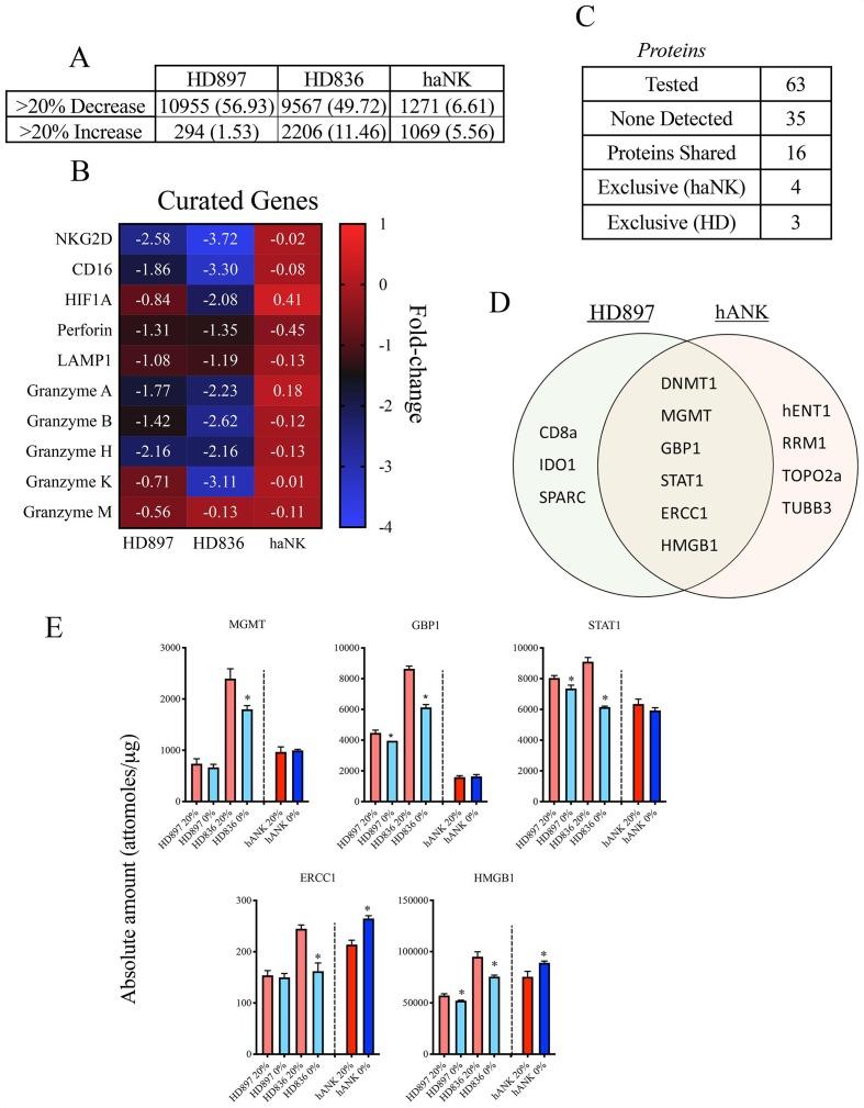 https://cdn.ncbi.nlm.nih.gov/pmc/blobs/b590/7213912/30e81ce6318f/jitc-2019-000246f05.jpg