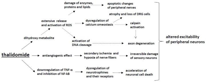 https://cdn.ncbi.nlm.nih.gov/pmc/blobs/b5a9/6471666/172597d175b4/ijms-20-01451-g002.jpg