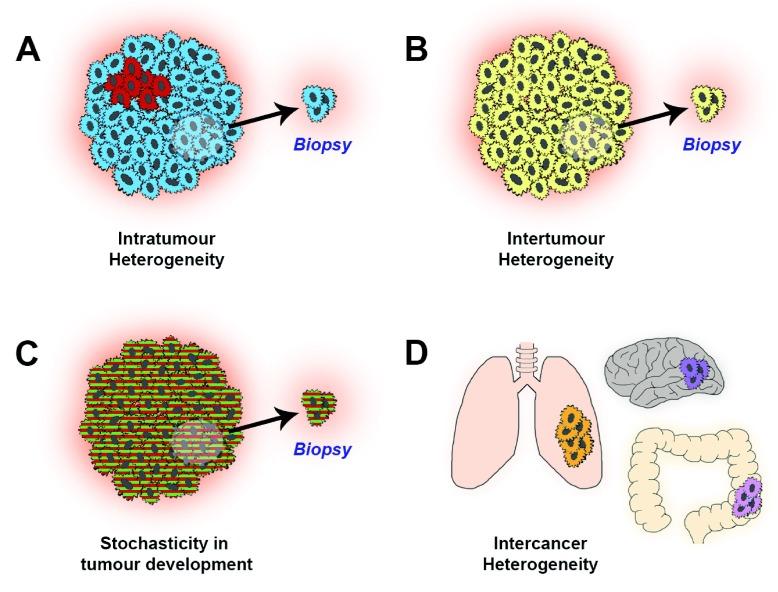 https://cdn.ncbi.nlm.nih.gov/pmc/blobs/b5ac/4776671/7b64a321d7c8/f1000research-5-7766-g0000.jpg