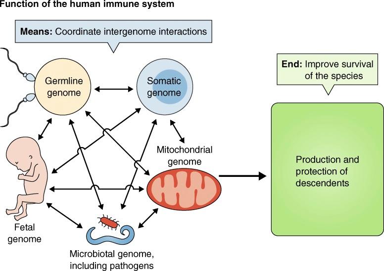 https://cdn.ncbi.nlm.nih.gov/pmc/blobs/b5c1/5551579/fba51f6076f3/JEM_20170637_Fig1.jpg