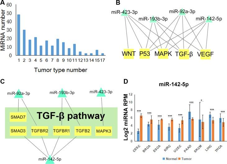 https://cdn.ncbi.nlm.nih.gov/pmc/blobs/b5db/5342096/6e437caa3bd0/oncotarget-07-71504-g002.jpg