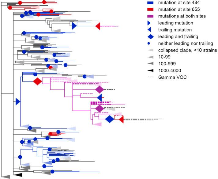 https://cdn.ncbi.nlm.nih.gov/pmc/blobs/b5fd/9908078/2478f2d75f12/elife-82516-fig5.jpg