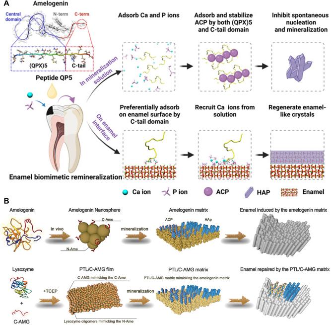 https://cdn.ncbi.nlm.nih.gov/pmc/blobs/b60f/11987509/0a14cbac9b30/j_mr-2024-0035_fig_008.jpg