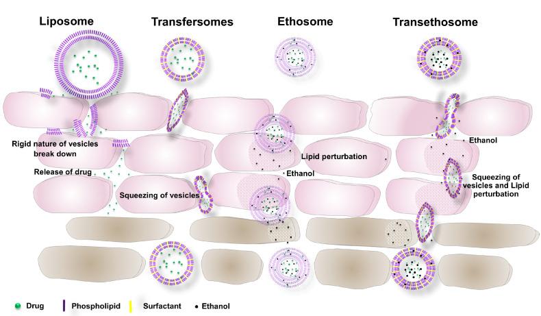 https://cdn.ncbi.nlm.nih.gov/pmc/blobs/b649/8537378/5fcc26f28659/nanomaterials-11-02557-g002.jpg