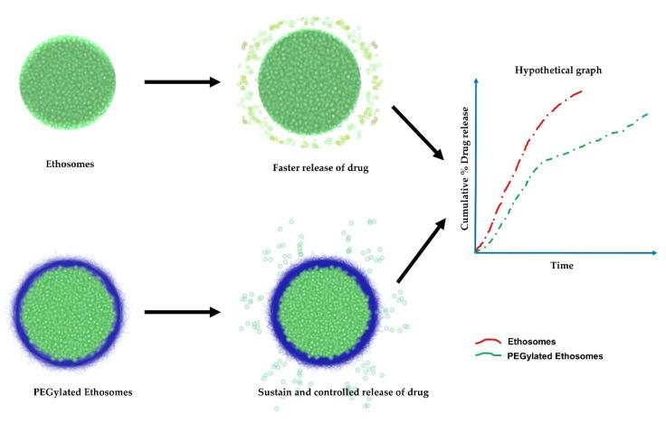 https://cdn.ncbi.nlm.nih.gov/pmc/blobs/b649/8537378/93afce4c384c/nanomaterials-11-02557-g004.jpg