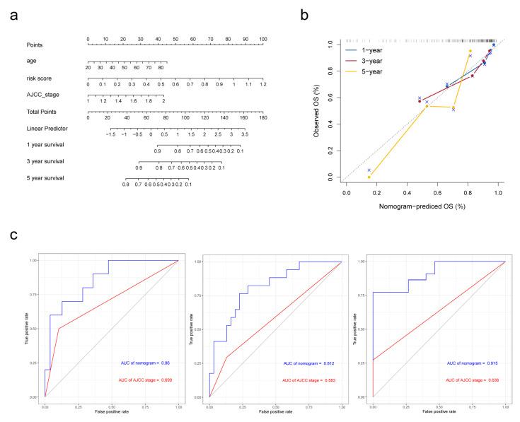 https://cdn.ncbi.nlm.nih.gov/pmc/blobs/b656/9855755/22e3481386fc/biomolecules-13-00141-g006.jpg