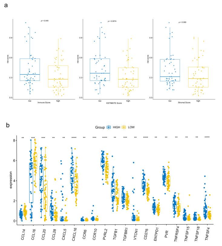 https://cdn.ncbi.nlm.nih.gov/pmc/blobs/b656/9855755/69418fe0e02b/biomolecules-13-00141-g007.jpg