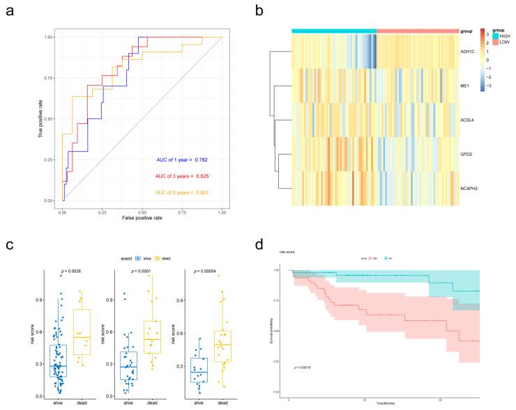 https://cdn.ncbi.nlm.nih.gov/pmc/blobs/b656/9855755/6fc983070747/biomolecules-13-00141-g004.jpg
