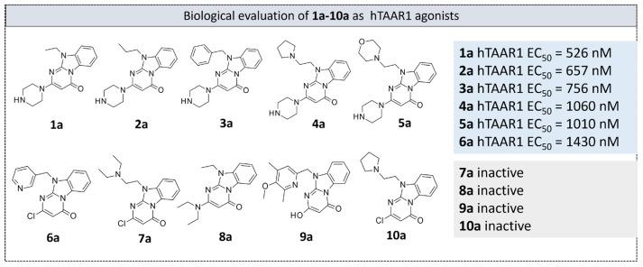 https://cdn.ncbi.nlm.nih.gov/pmc/blobs/b660/11052455/3e4eb0122777/molecules-29-01739-g008.jpg