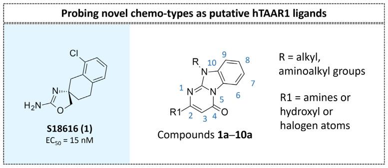 https://cdn.ncbi.nlm.nih.gov/pmc/blobs/b660/11052455/a240ee671375/molecules-29-01739-g005.jpg