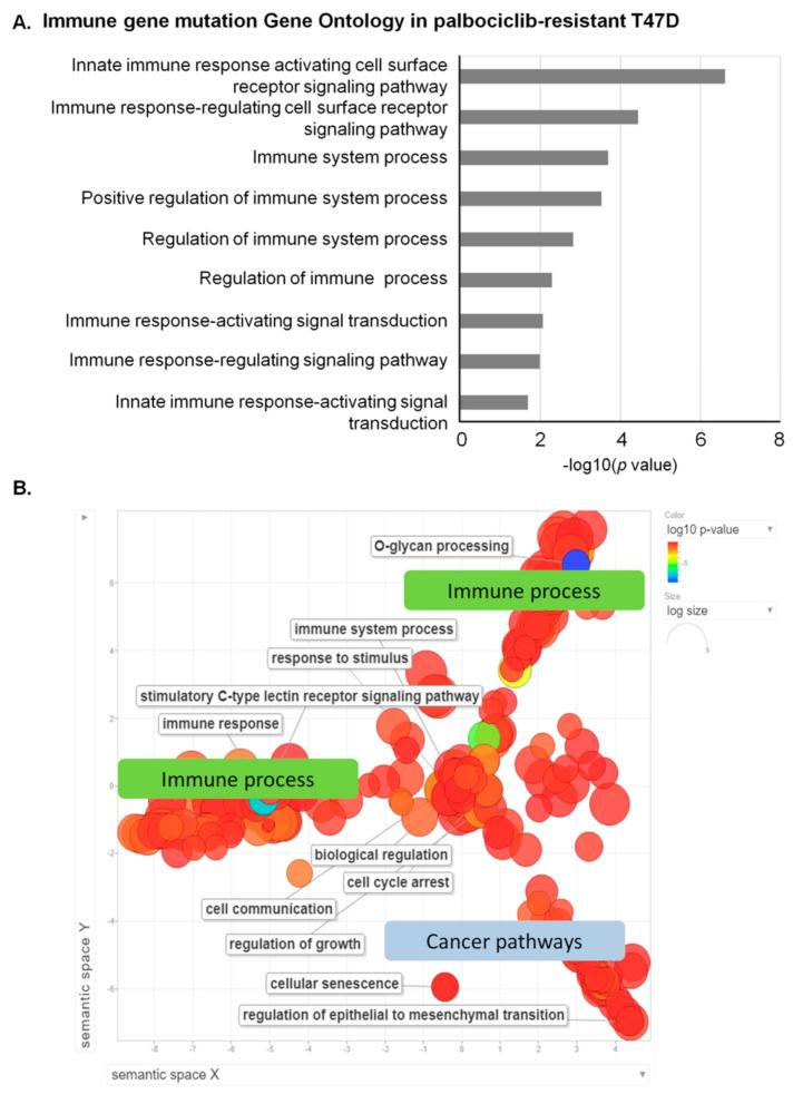 https://cdn.ncbi.nlm.nih.gov/pmc/blobs/b663/7912104/a2774b8e82e9/genes-12-00159-g003.jpg