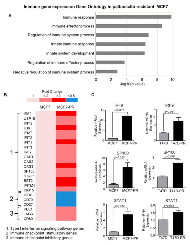 https://cdn.ncbi.nlm.nih.gov/pmc/blobs/b663/7912104/e9bb089b8323/genes-12-00159-g002.jpg