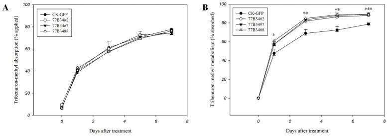 https://cdn.ncbi.nlm.nih.gov/pmc/blobs/b68b/9147942/4ab5e04ea9cd/ijms-23-05812-g003.jpg