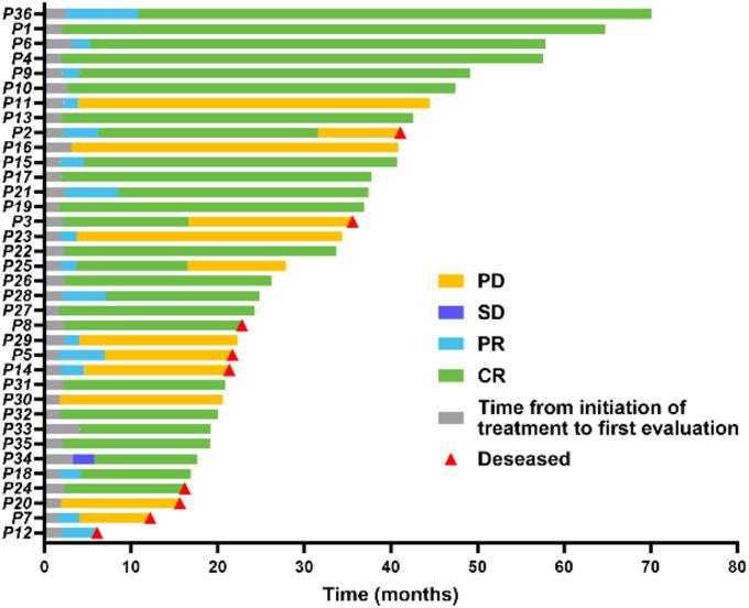 https://cdn.ncbi.nlm.nih.gov/pmc/blobs/b6a7/12098186/21d1dc5498f8/432_2025_6205_Fig2_HTML.jpg