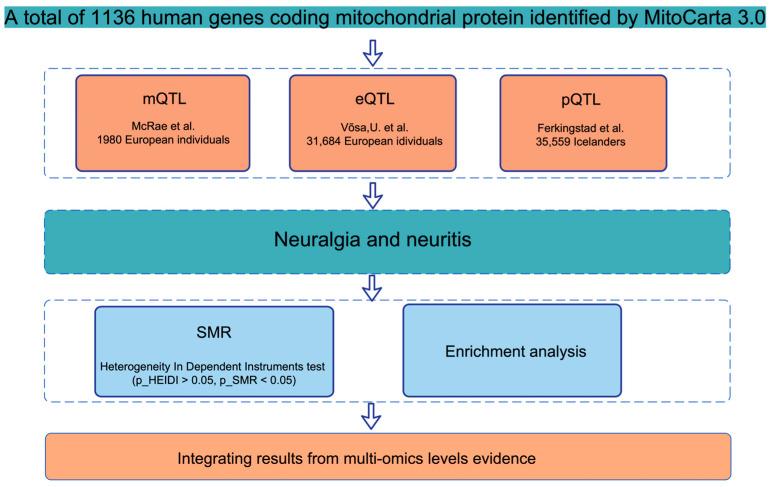 https://cdn.ncbi.nlm.nih.gov/pmc/blobs/b6a9/12428822/7c1c807a7eb9/ijms-26-08690-g001.jpg