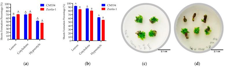 https://cdn.ncbi.nlm.nih.gov/pmc/blobs/b6b0/11353661/337d456357a8/genes-15-01018-g010.jpg