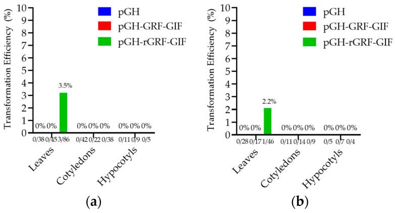 https://cdn.ncbi.nlm.nih.gov/pmc/blobs/b6b0/11353661/f7851c50d01f/genes-15-01018-g011.jpg