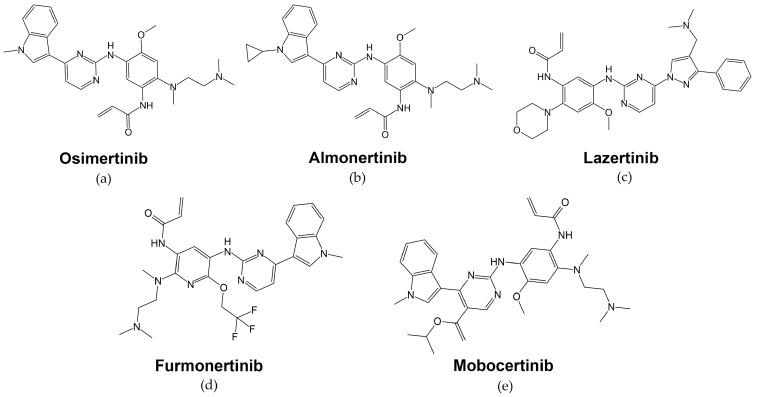 https://cdn.ncbi.nlm.nih.gov/pmc/blobs/b6b7/10778338/85176fd6c00c/cells-13-00047-g005.jpg