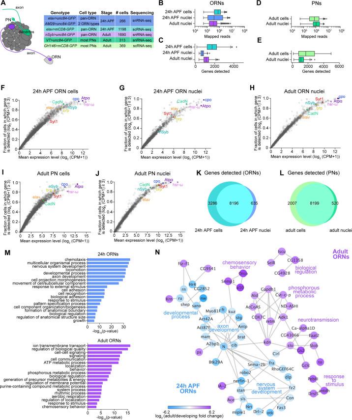 https://cdn.ncbi.nlm.nih.gov/pmc/blobs/b6d1/7870146/054c5a440127/elife-63856-fig2.jpg