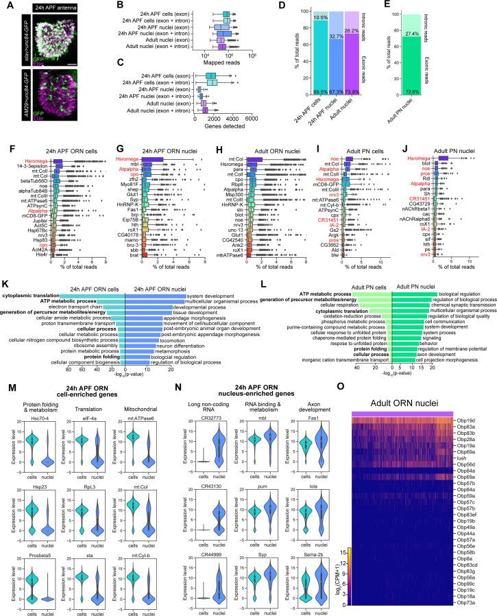 https://cdn.ncbi.nlm.nih.gov/pmc/blobs/b6d1/7870146/2295c1472eae/elife-63856-fig2-figsupp1.jpg