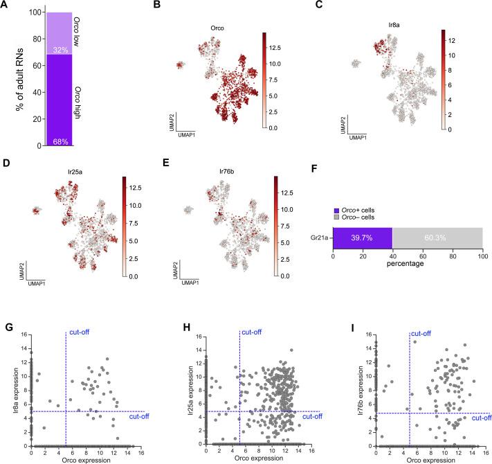 https://cdn.ncbi.nlm.nih.gov/pmc/blobs/b6d1/7870146/3a023d638275/elife-63856-fig9-figsupp1.jpg