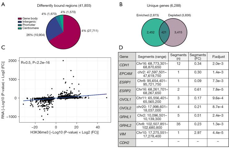 https://cdn.ncbi.nlm.nih.gov/pmc/blobs/b6f1/9903082/aab20082a0a0/tlcr-12-01-42-f3.jpg