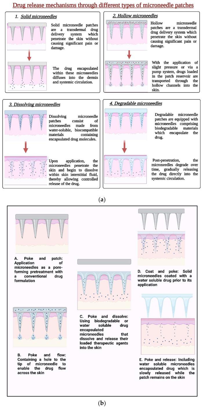 https://cdn.ncbi.nlm.nih.gov/pmc/blobs/b701/11597228/eff01a4d30d3/pharmaceutics-16-01398-g003.jpg