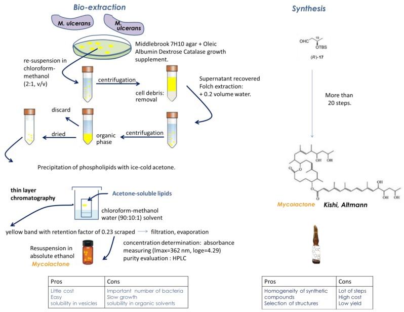 https://cdn.ncbi.nlm.nih.gov/pmc/blobs/b70f/6783859/43175e413d75/toxins-11-00516-g002.jpg