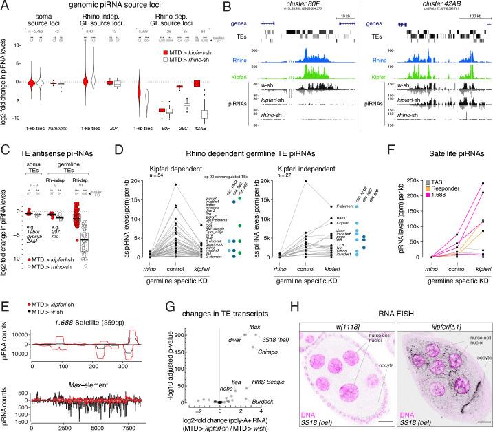 https://cdn.ncbi.nlm.nih.gov/pmc/blobs/b71c/9531945/e5249d120216/elife-80067-fig4.jpg
