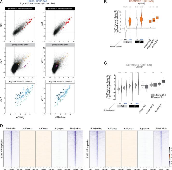 https://cdn.ncbi.nlm.nih.gov/pmc/blobs/b71c/9531945/ecc83ab0a3c1/elife-80067-fig1-figsupp1.jpg
