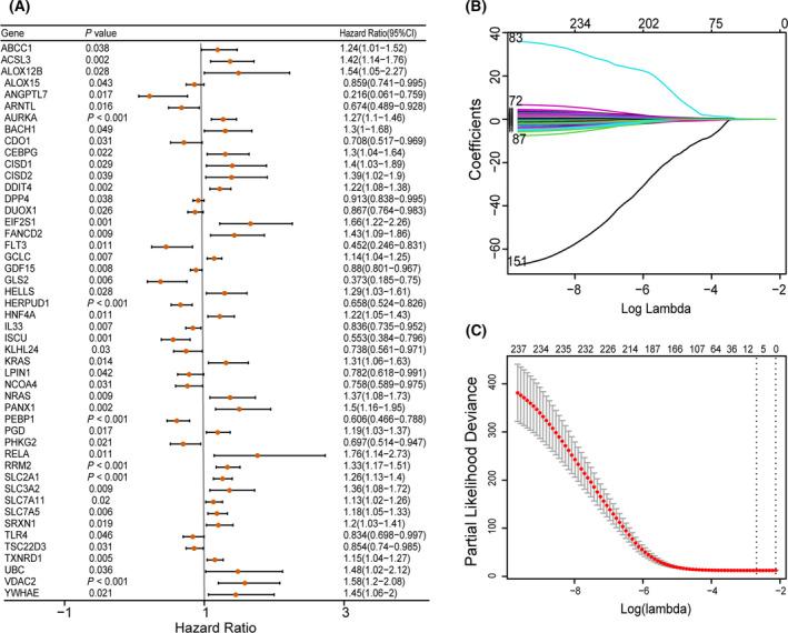 https://cdn.ncbi.nlm.nih.gov/pmc/blobs/b72c/8564102/c751b26e3024/FEB4-11-3005-g008.jpg