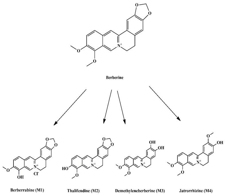 https://cdn.ncbi.nlm.nih.gov/pmc/blobs/b730/8658774/16db5b700695/molecules-26-07368-g001.jpg