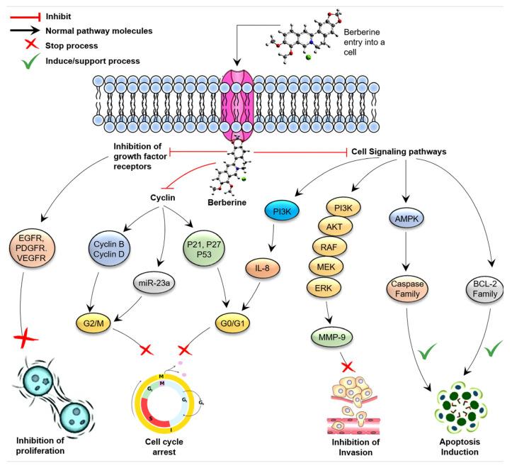 https://cdn.ncbi.nlm.nih.gov/pmc/blobs/b730/8658774/b30985ca7b0b/molecules-26-07368-g002.jpg