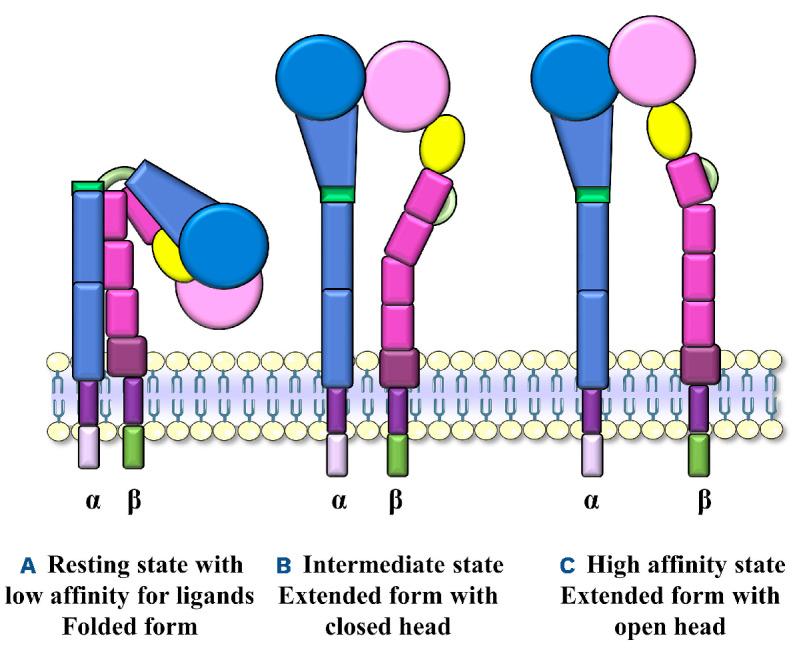 https://cdn.ncbi.nlm.nih.gov/pmc/blobs/b734/10316258/029d34a4f804/1081734.fig1.jpg