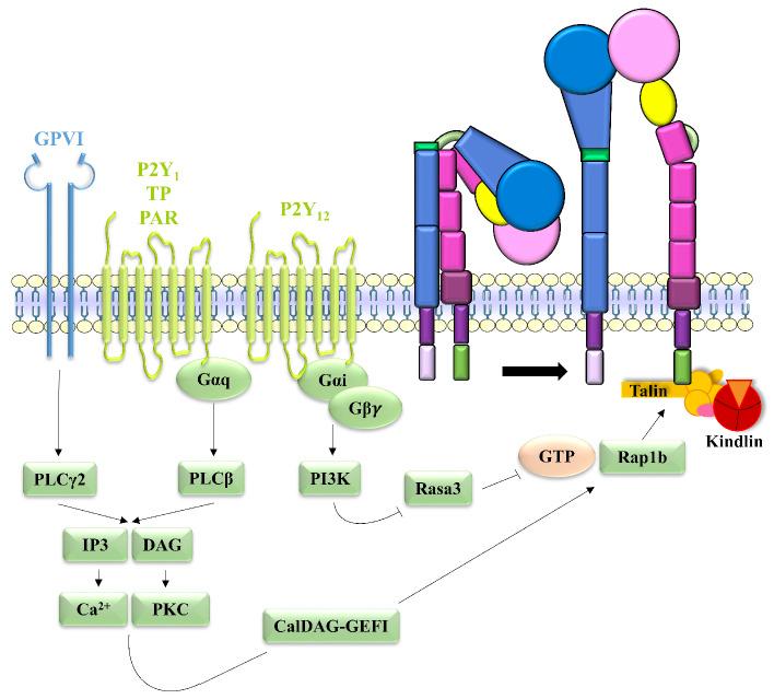 https://cdn.ncbi.nlm.nih.gov/pmc/blobs/b734/10316258/ea6b150b8426/1081734.fig2.jpg