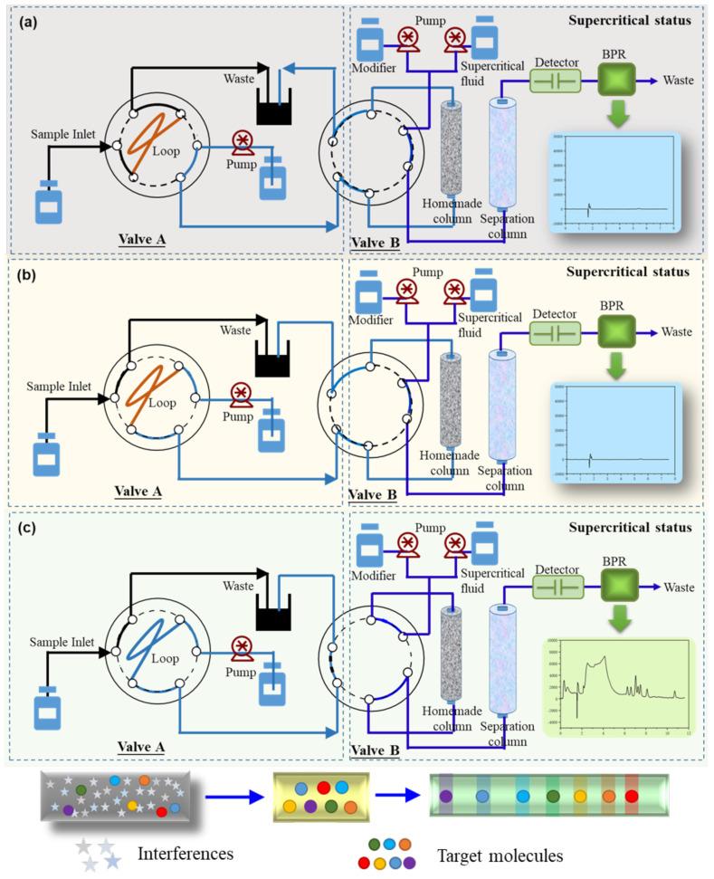 https://cdn.ncbi.nlm.nih.gov/pmc/blobs/b73a/11990816/c4c4e9df195b/molecules-30-01565-g002.jpg