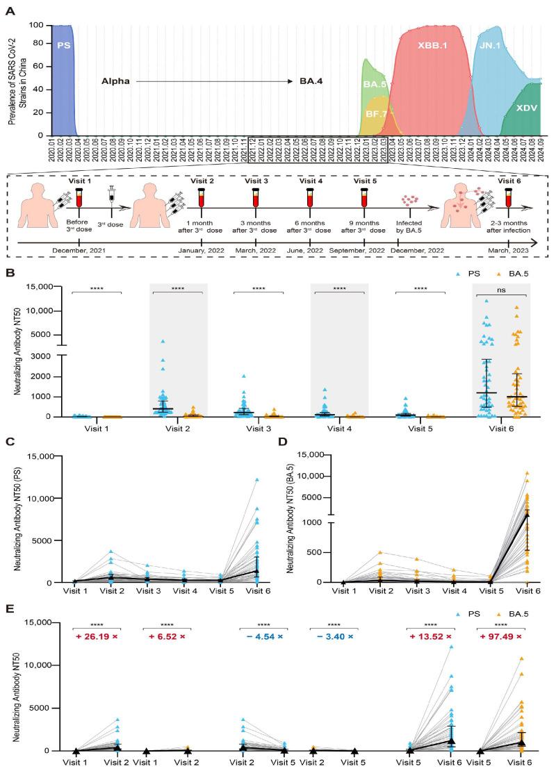 https://cdn.ncbi.nlm.nih.gov/pmc/blobs/b755/11945335/453301a45364/vaccines-13-00262-g001.jpg