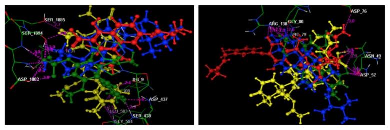 https://cdn.ncbi.nlm.nih.gov/pmc/blobs/b767/8839868/351264c5e821/molecules-27-01117-g006.jpg
