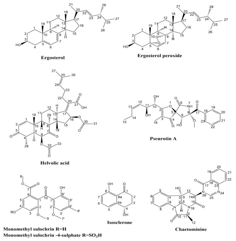 https://cdn.ncbi.nlm.nih.gov/pmc/blobs/b767/8839868/91be5403d6cb/molecules-27-01117-g001.jpg
