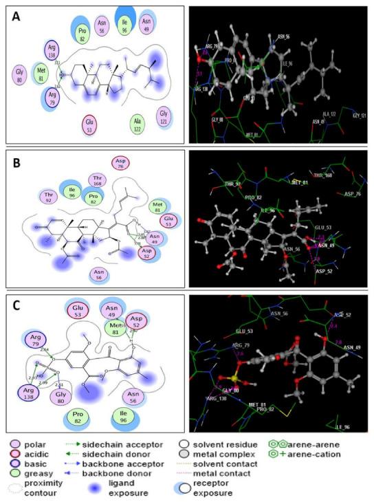 https://cdn.ncbi.nlm.nih.gov/pmc/blobs/b767/8839868/acf05bbefcba/molecules-27-01117-g005.jpg