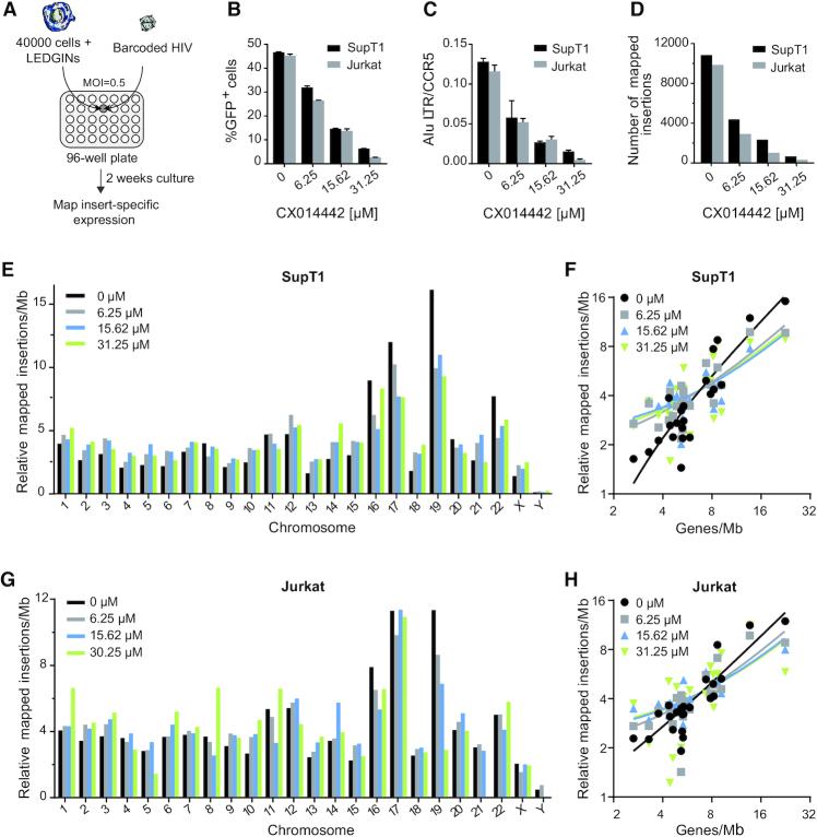 https://cdn.ncbi.nlm.nih.gov/pmc/blobs/b77a/7641320/b85745697054/gkaa536fig1.jpg