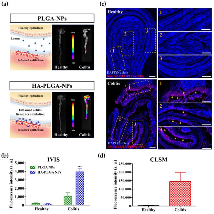 https://cdn.ncbi.nlm.nih.gov/pmc/blobs/b77c/9612393/09de287d1dfa/pharmaceutics-14-02118-g003.jpg