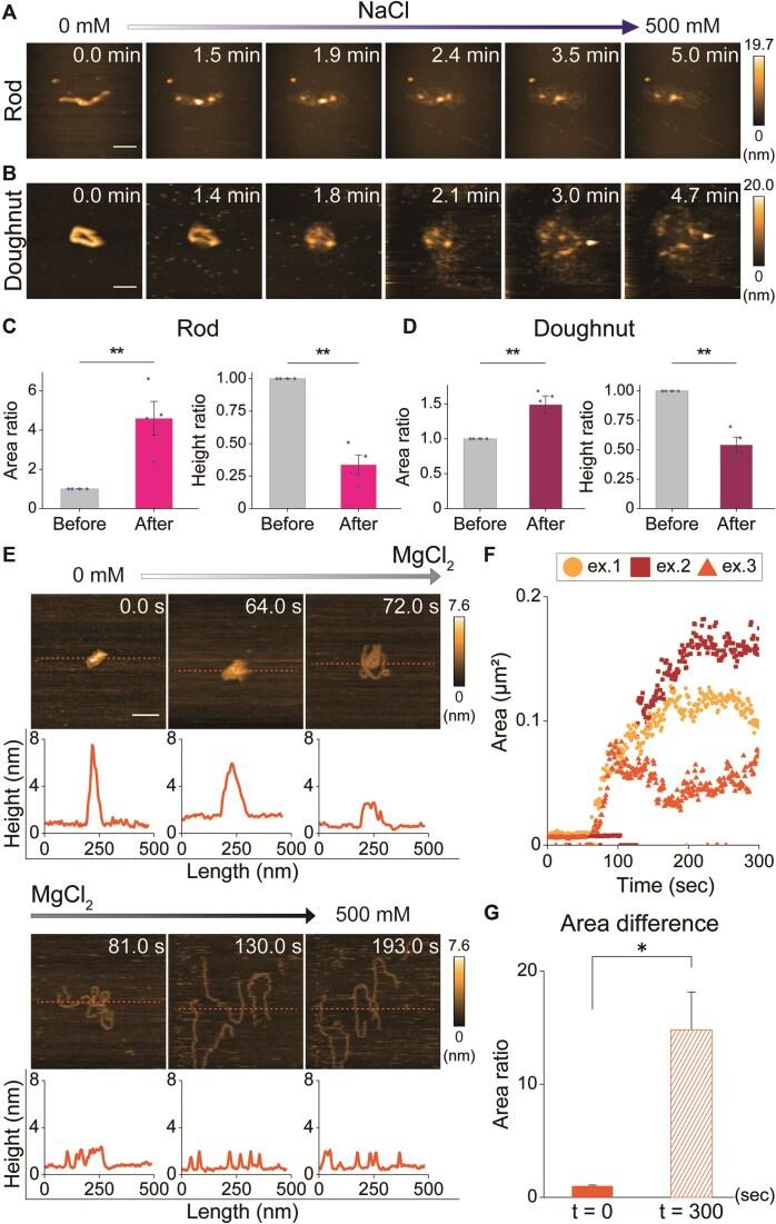 https://cdn.ncbi.nlm.nih.gov/pmc/blobs/b785/11930356/eb6f4e1d06b1/gkaf152fig2.jpg