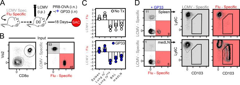 https://cdn.ncbi.nlm.nih.gov/pmc/blobs/b7a8/7398169/23cbdad6e1ed/JEM_20192197_FigS2.jpg