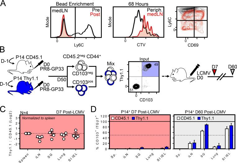 https://cdn.ncbi.nlm.nih.gov/pmc/blobs/b7a8/7398169/67cd7c8fdebb/JEM_20192197_FigS3.jpg